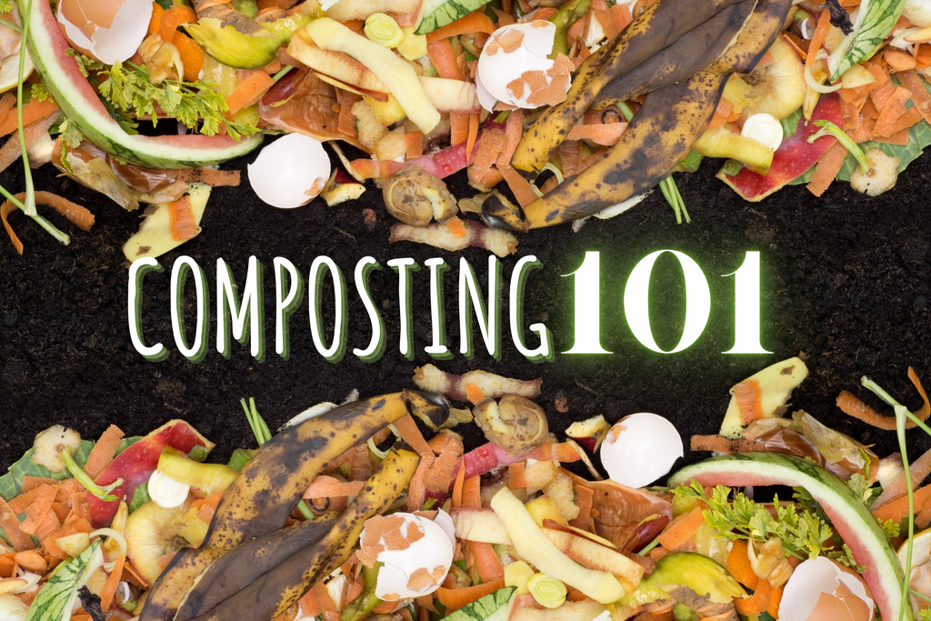 Composting 101 — Start Composting Today!