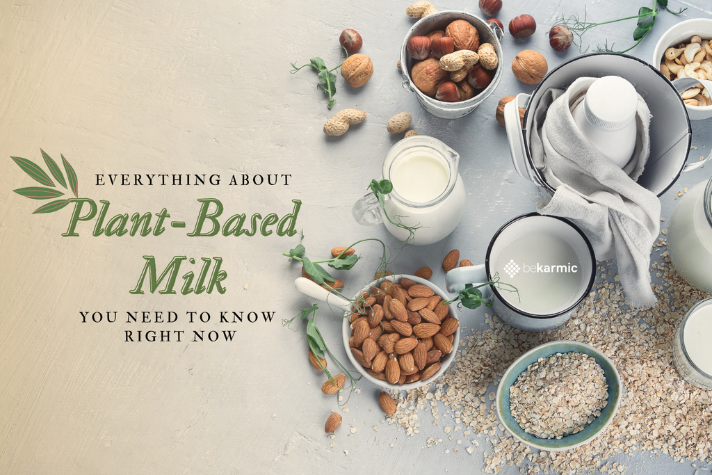 Everything About Plant-Based Milk You Need To Know Right Now