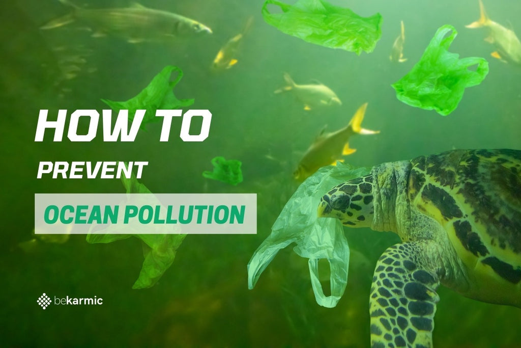 How to Prevent Ocean Pollution