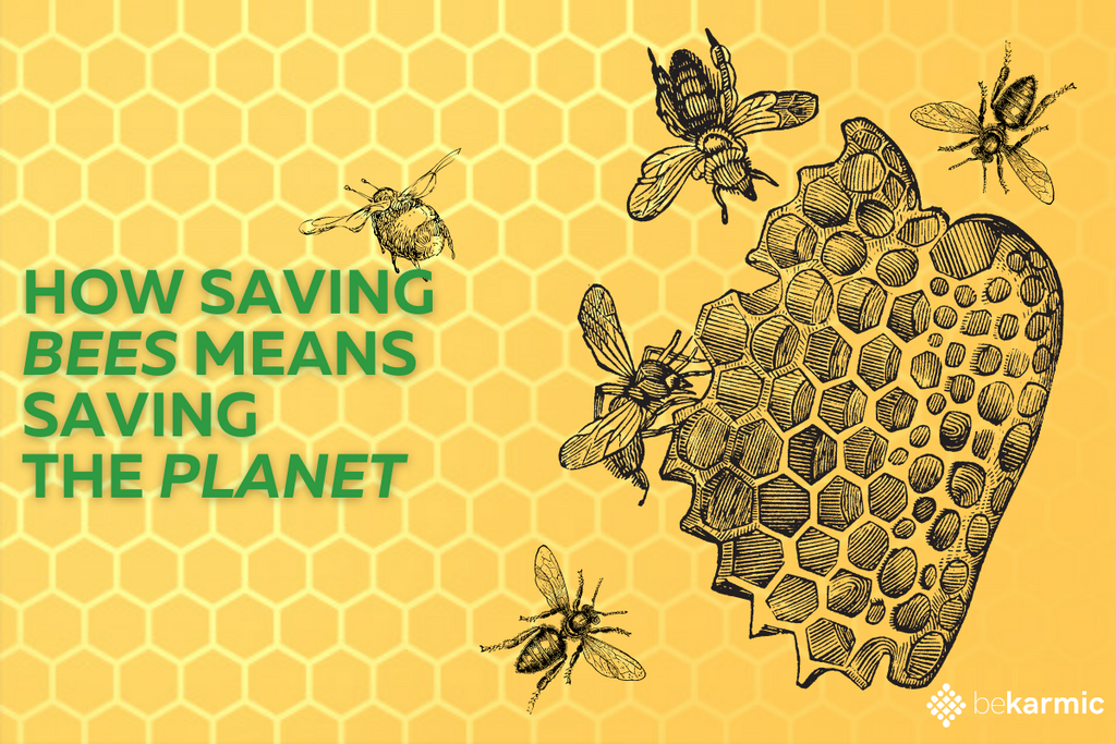 How can we Save the Bees for a Healthy Planet