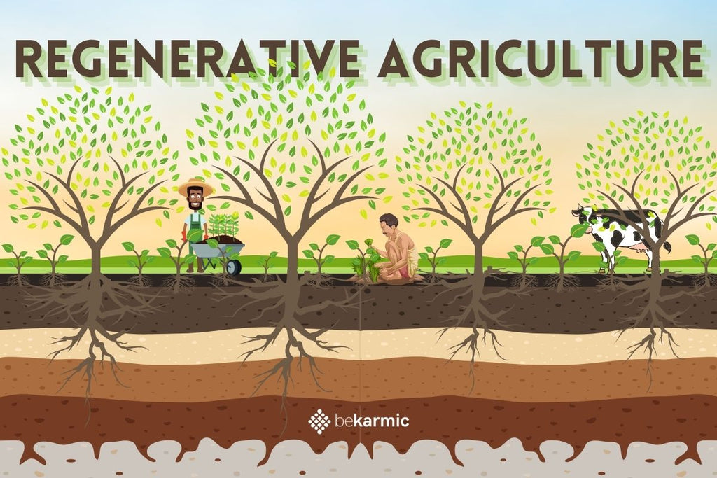 Regenerative Agriculture is the Sustainable Future