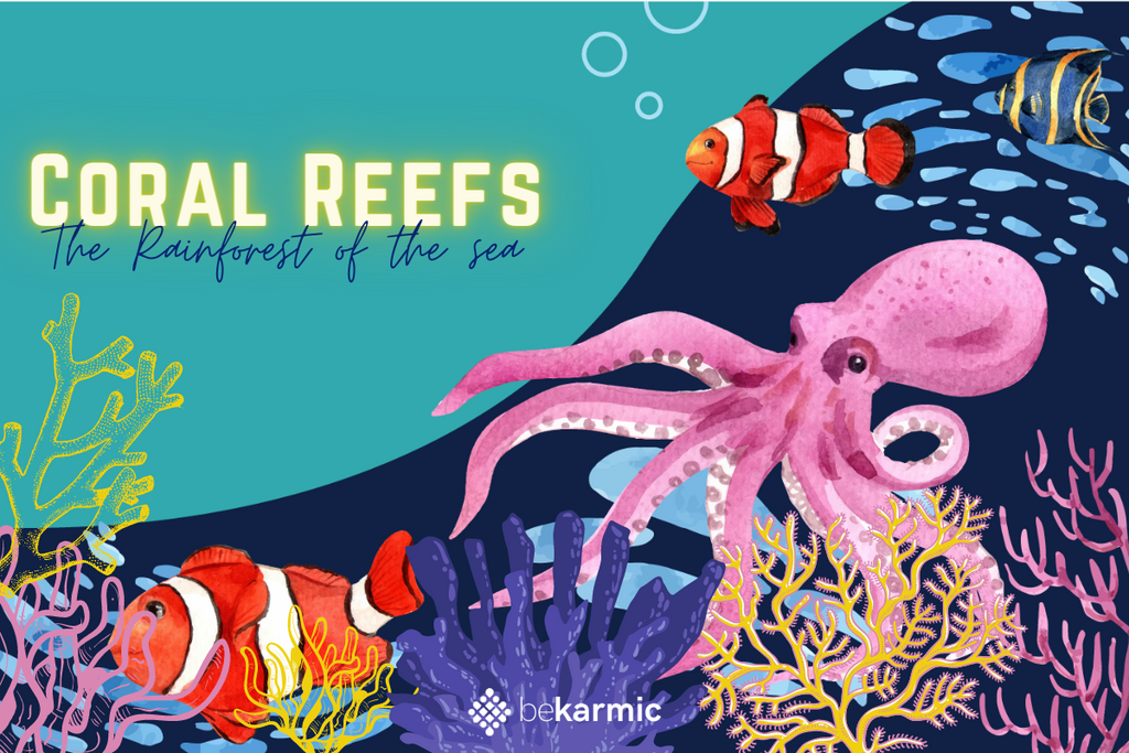 Coral Reefs: Save them before its too late