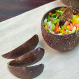 Coconut shell Soup Bowls-Set of 2 - Green foot print - BeKarmic