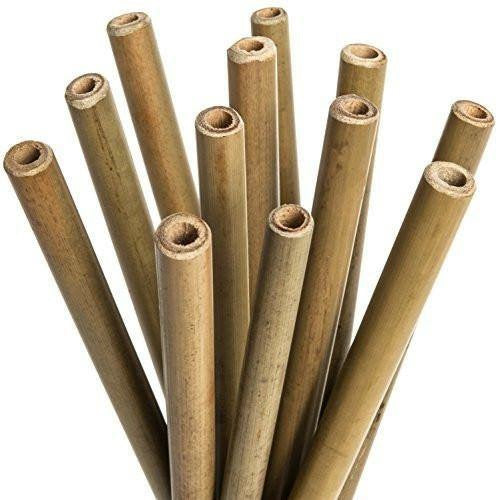 Bamboo Natural Straws (pack of 4) with stainless Stell cleaner - Bamboo India - BeKarmic