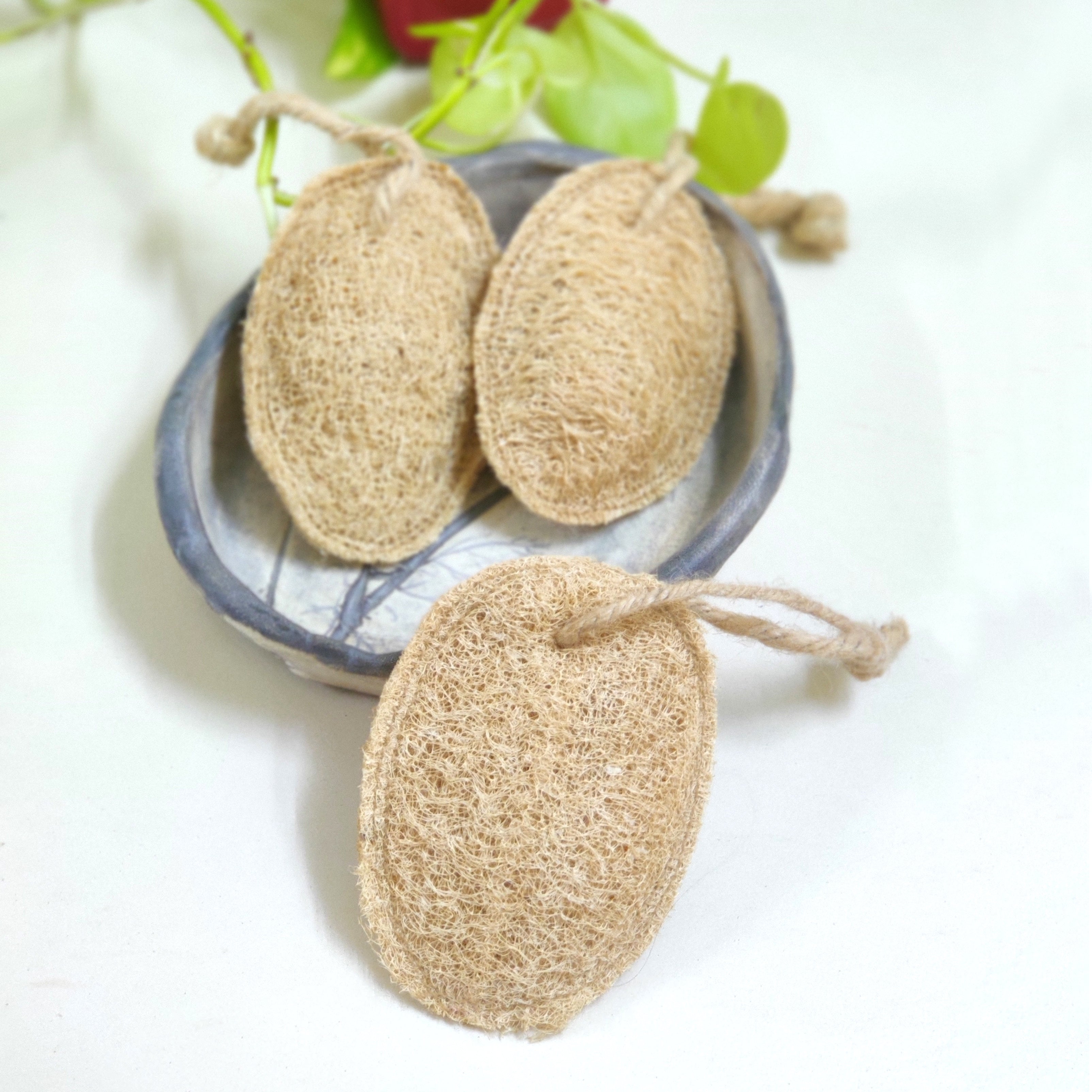 Natural Plant based loofah/ Bathing sponge -set of 3 - Green foot print - BeKarmic