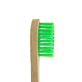 Bamboo Toothbrush – Neem (Adult) - Bamboo India - BeKarmic