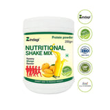 Zindagi - Zindagi Nutritional Mango Shake - Natural Health Drink - For Immunity Booster | BeKarmic | Mango Shake | Beverages, Health & Energy Drinks, Healthy Drinks, Herbal Juices, Immunity B