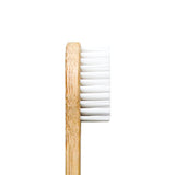 Bamboo Toothbrush – Standard – White (Adult) - Bamboo India - BeKarmic